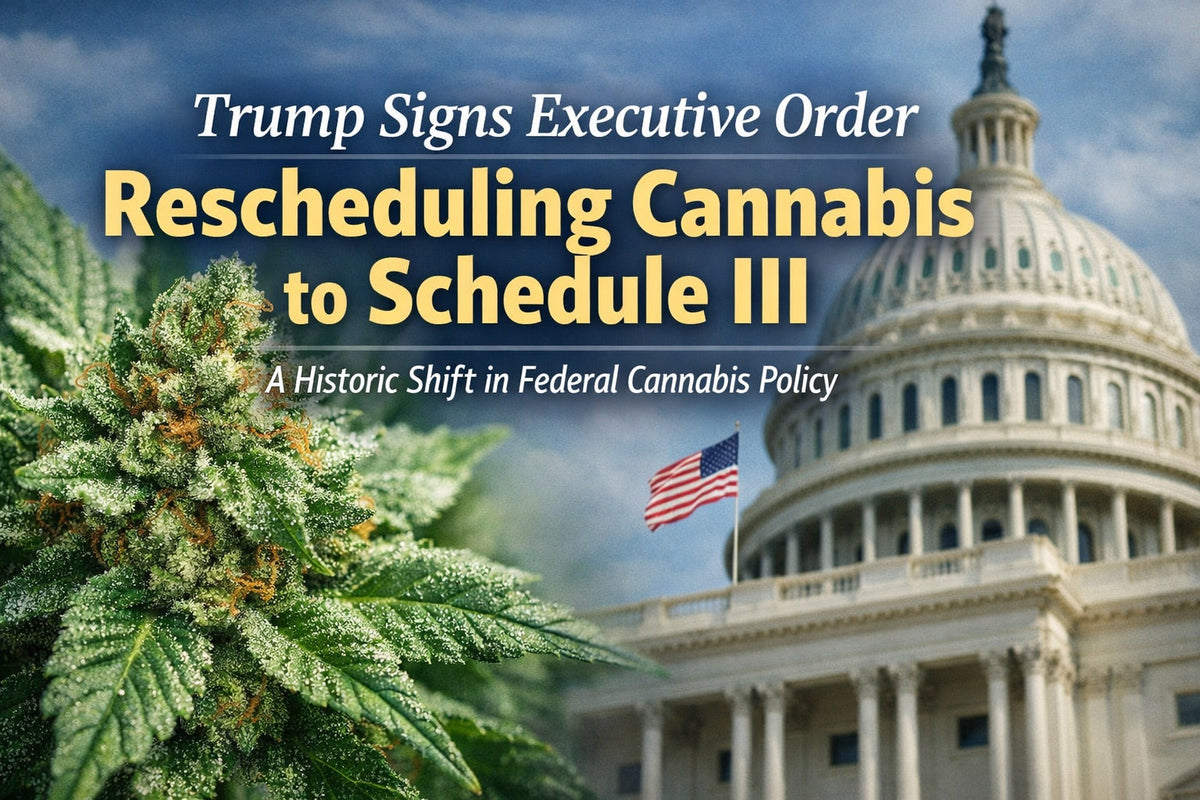 Trump rescheduling cannabis to schedule 3