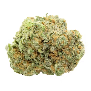 Premium Flowers