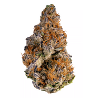 1 OZ Golden Ticket - Premium THCA Cannabis Flower