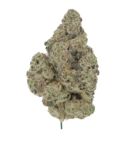 jungle mintz cannabis strains thc online 
