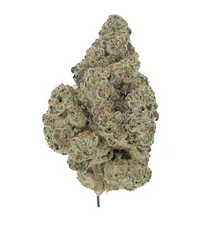 jungle mintz cannabis strains thc online 
