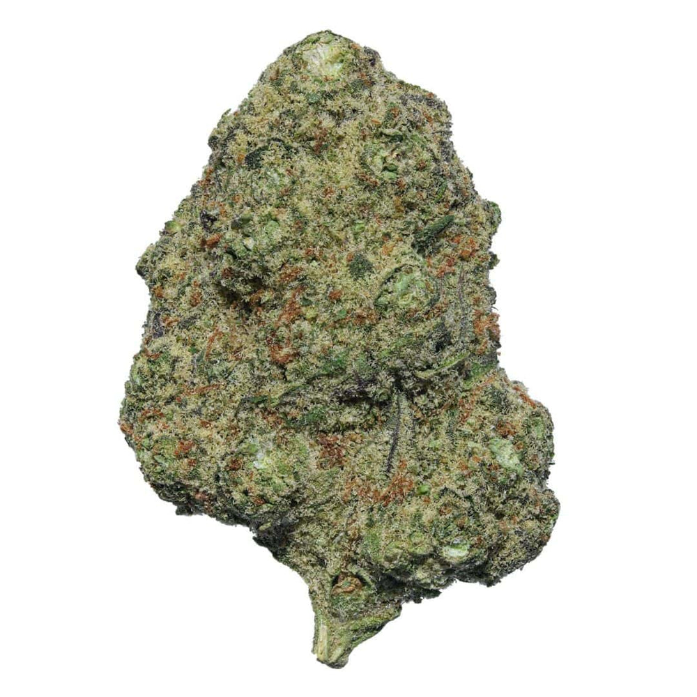 1 OZ Mochi Latto - Exotic Indoor THCA Cannabis Flower