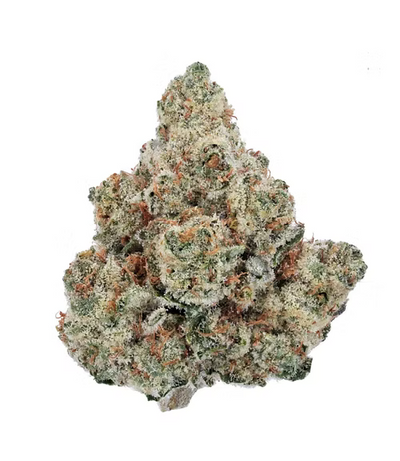 Exotic Flowers