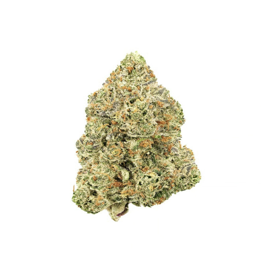 Jungle Haze cannabis strain at thc online dispensary 